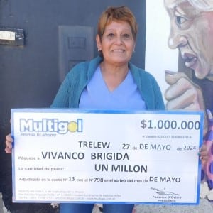 Copia de Viviando Brigida CH
